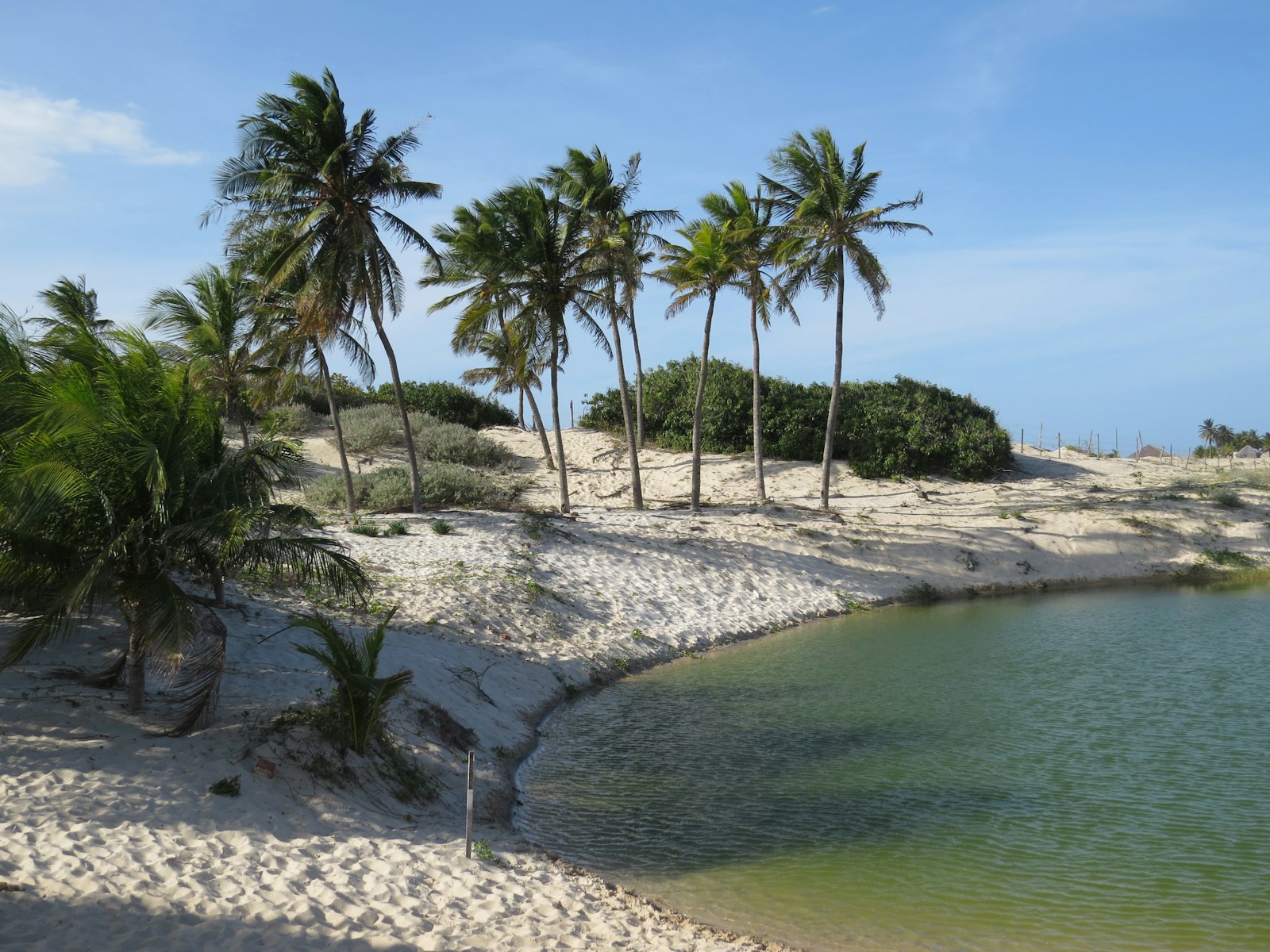 passeios imperdíveis em canoa quebrada